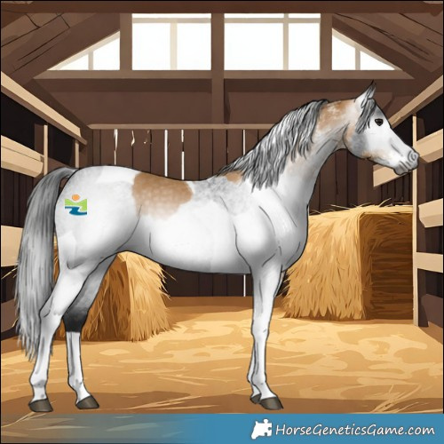 Horse Color:Gray White Spotted Buckskin Tobiano  and Gray Blue Roan Tobiano Rabicano 