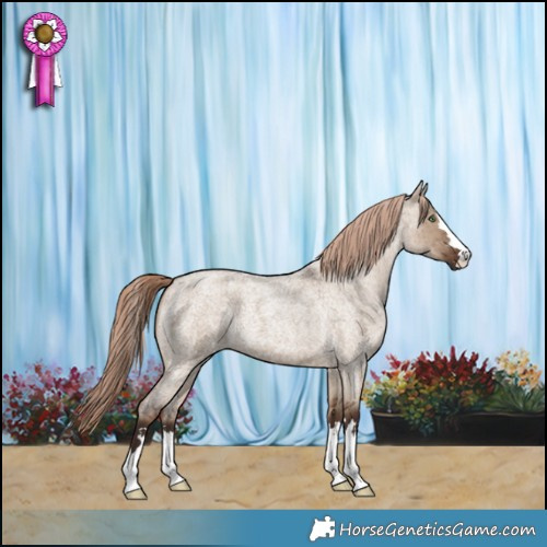 Horse Color:Liver Red Dun Roan Brindle 