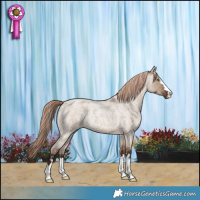 Horse Color:Liver Red Dun Roan Brindle