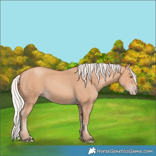 Horse Color:Silver Amber Champagne 