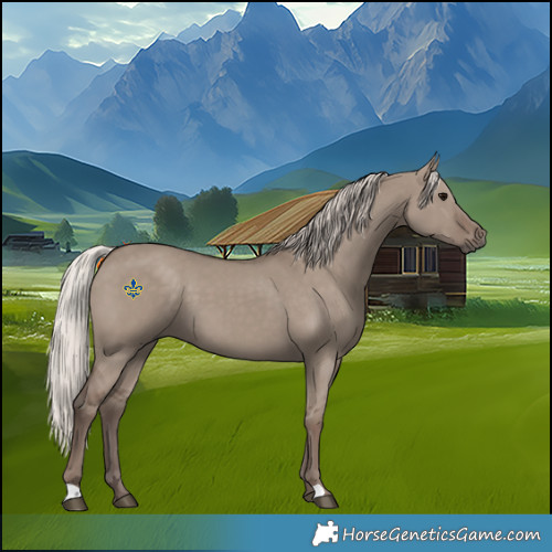Horse Color:Silver Grullo 