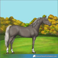 Horse Color:Silver Black 