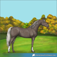 Horse Color:Silver Black 