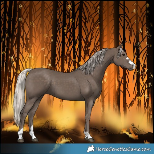 Horse Color:Silver Black 