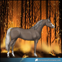 Horse Color:Silver Black