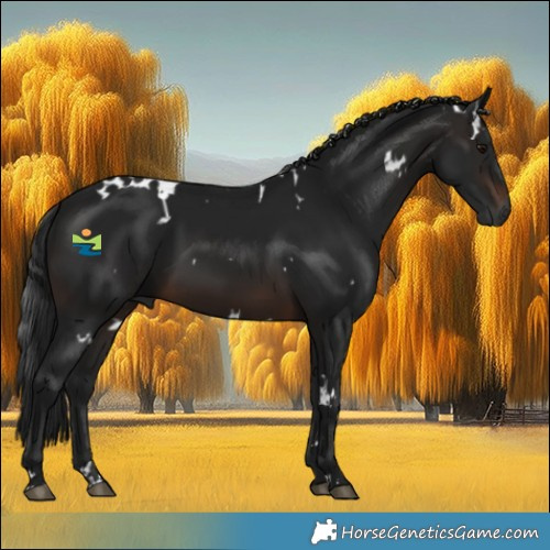 Horse Color:Gray White Spotted Brown 