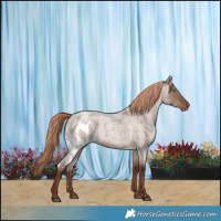 Horse Color:Liver Red Dun Roan Skewed LP Spotted