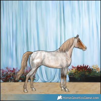 Horse Color:Powder White Chocolate Palomino Roan Splash Frame Blanket