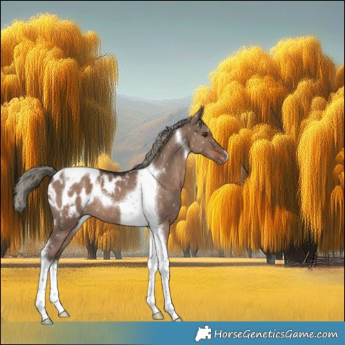 Horse Color:Liver Red Dun Mushroom Tobiano Appaloosa 