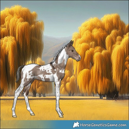 Horse Color:White Spotted Liver Red Dun Mushroom Tobiano 