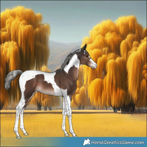Horse Color:Liver Chestnut Mushroom Tobiano 
