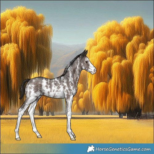 Horse Color:Liver Chestnut Sabino 