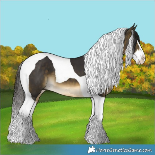 Horse Color:Buckskin Splash Tobiano