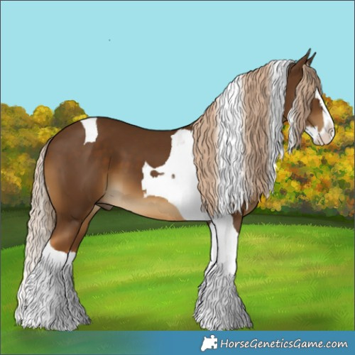 Horse Color:Chocolate Palomino Splash Tobiano 