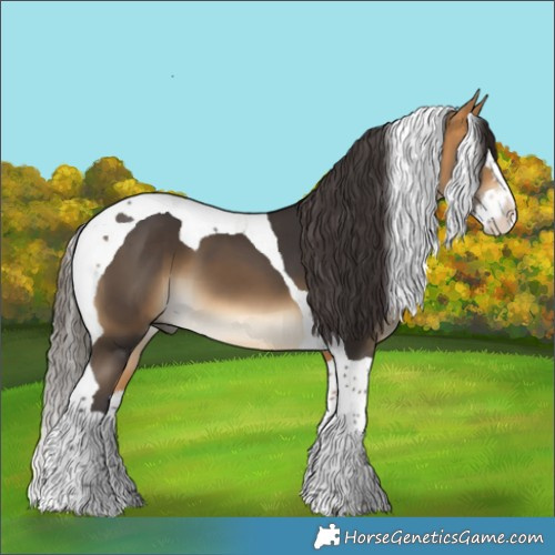 Horse Color:Buckskin Splash Tobiano 