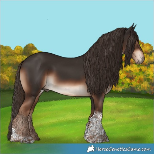 Horse Color:Liver Chestnut Tobiano 