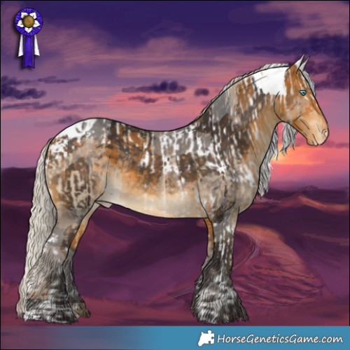 Horse Color:Buckskin Dun Merle Tobiano Skewed Appaloosa  and Silver Buckskin Merle Skewed Appaloosa 