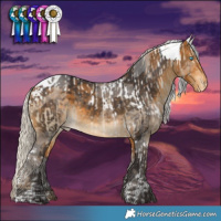 Horse Color:Buckskin Dun Merle Tobiano Skewed Appaloosa and Silver Buckskin Merle Skewed Appaloosa