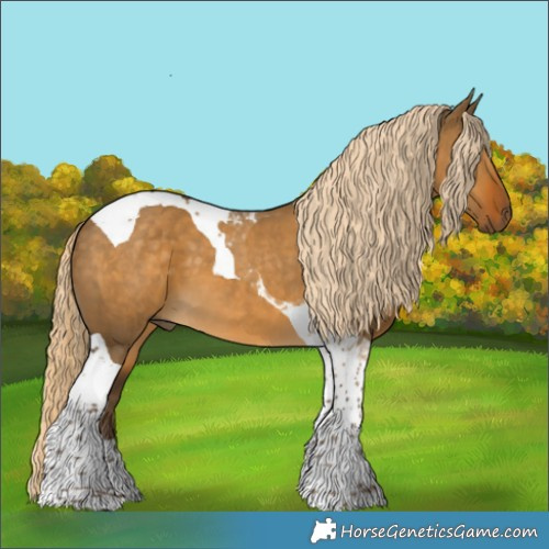 Horse Color:Chocolate Palomino Dun Tobiano 