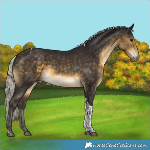 Horse Color:Silver Buckskin Tobiano 