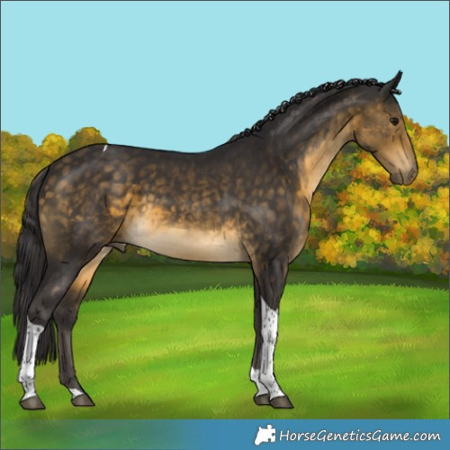Horse Color:Buckskin Tobiano 
