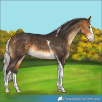 Horse Color:Silver Buckskin Splash Tobiano