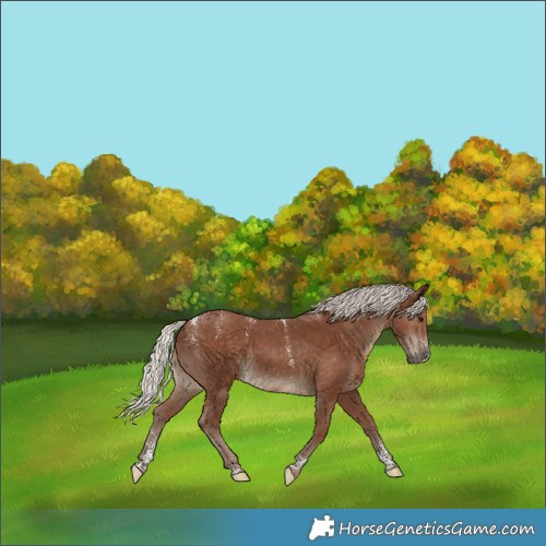 Horse Color:Powder White Silver Black 