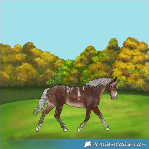 Horse Color:Powder White Silver Brown