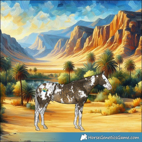 Horse Color:White Spotted Silver Buckskin Splash Appaloosa Rabicano 