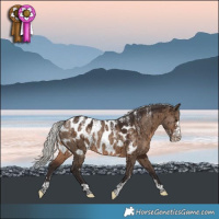 Horse Color:Powder White Silver Brown Dun Near Leopard Rabicano Brindle