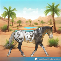 Horse Color:Powder White Silver Buckskin Near Leopard Rabicano