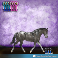 Horse Color:Powder White Gray Smoky Grullo Blanket Brindle