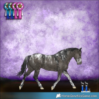 Horse Color:Powder White Gray Smoky Grullo Appaloosa Brindle 