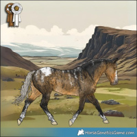 Horse Color:Powder White Gray Silver Buckskin Dun Appaloosa Rabicano Brindle