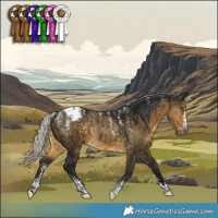 Horse Color:Powder White Gray Silver Buckskin Dun Snowcap Rabicano Brindle
