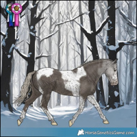 Horse Color:Silver Smoky Black Tobiano Snowcap