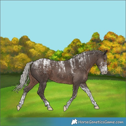 Horse Color:Powder White Silver Black 