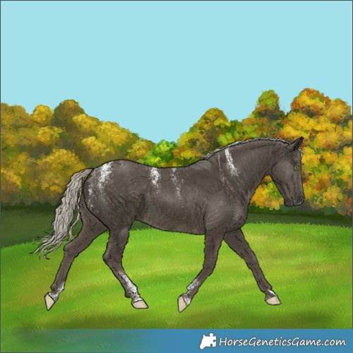 Horse Color:Powder White Silver Smoky Black 
