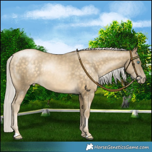 Horse Color:Silver Buckskin Pearl 