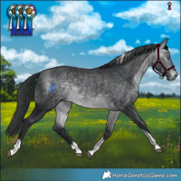 Horse Color:Bay Chinchilla Tobiano