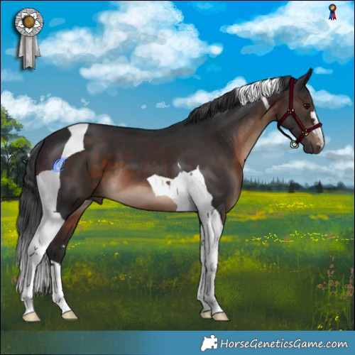 Horse Color:Brown Mushroom Tobiano 
