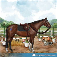 Horse Color:Gray Bay Tobiano 