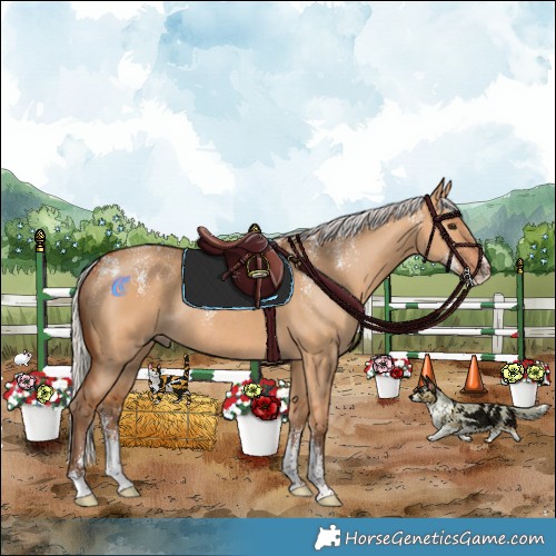 Horse Color:Powder White Silver Bay Dun Rabicano 