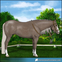 Horse Color:Silver Smoky Black