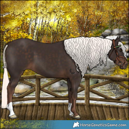Horse Color:Liver Chestnut Mushroom 