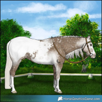 Horse Color:Silver Smoky Black Snowcap 