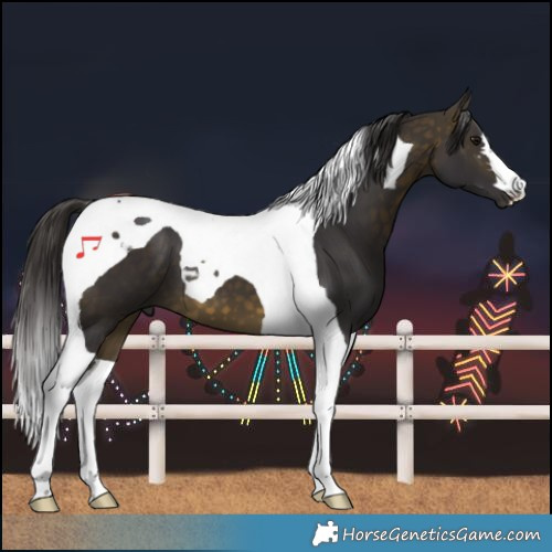 Horse Color:Buckskin Tobiano 