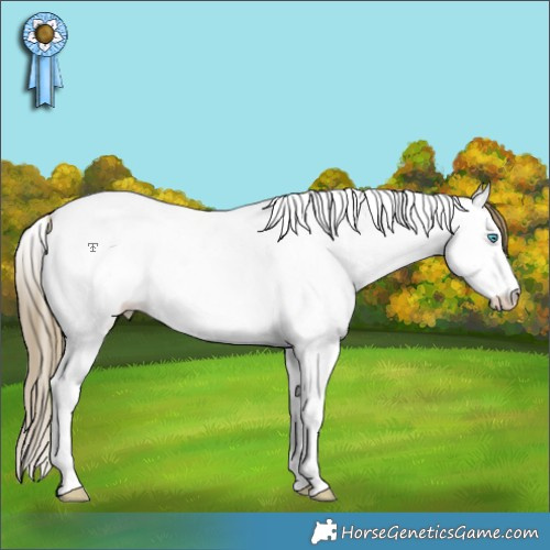 Horse Color:White Spotted Buckskin Pearl Dun Splash Tobiano Appaloosa Rabicano 