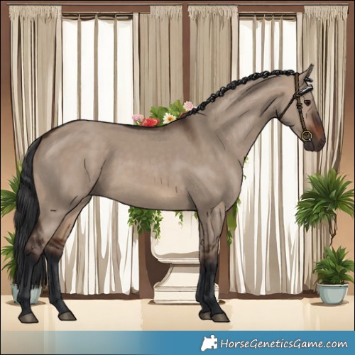 Horse Color:Brown Dun 