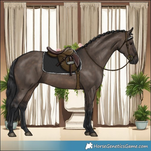 Horse Color:Brown Dun